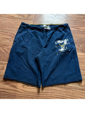 vintage american eagle outfitters distressed applique y2k baggy shorts